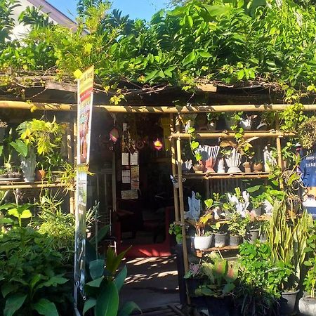 Jimmy And Jeng Homestay Чиангмай Экстерьер фото