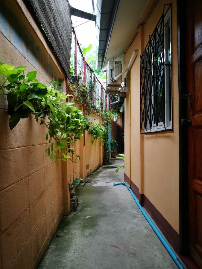 Jimmy And Jeng Homestay Чиангмай Экстерьер фото